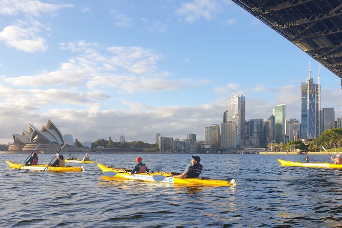 Sydney Kayak Seal Encounter Adventure with Gourmet Food - Pittwater gourmet lunch on a secluded beach: why the food part matters