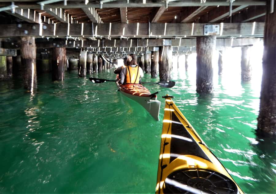 Sydney: Kayak to Goat Island At The Heart of Sydney Harbour - Getting back: paddling via Darling Harbour and planning your lunch