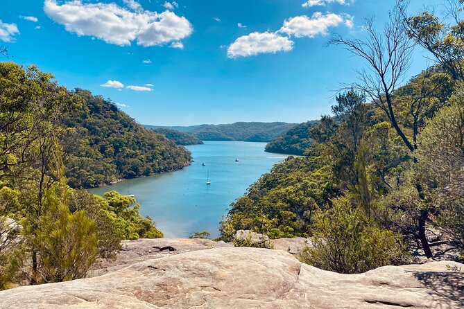 Sydney: Ku-ring-gai Chase National Park with Hike, Swim, Picnic - Key points worth knowing before you go