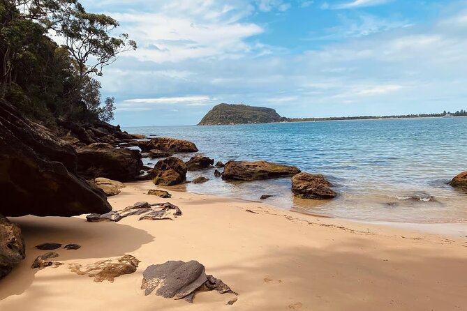Sydney: Ku-ring-gai Chase National Park with Hike, Swim, Picnic - Ku-ring-gai Chase National Park: a day that feels far from the city