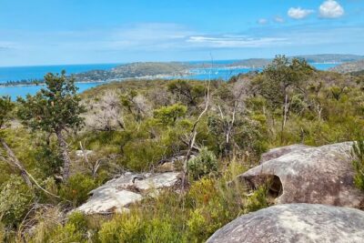 Sydney: Ku-ring-gai Chase National Park with Hike, Swim, Picnic - The 8-hour plan: pacing, walking, and why small groups matter
