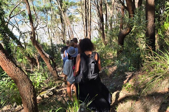 Sydney: Ku-ring-gai Chase National Park with Hike, Swim, Picnic - Mooney Mooney Oyster Shed: the optional Sydney Rock Oyster moment