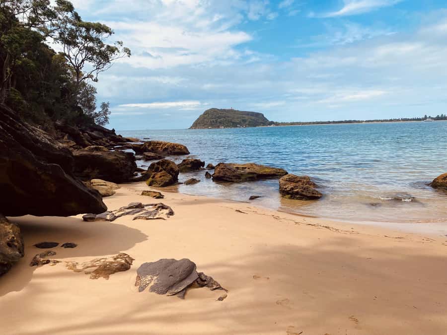 Sydney: Ku-ring-gai National Park with swim and picnic - Key things to know before you go