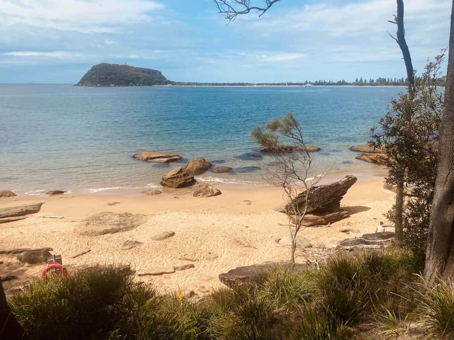 Sydney: Ku-ring-gai National Park with swim and picnic - Guided bush time: what the walkthrough gives you
