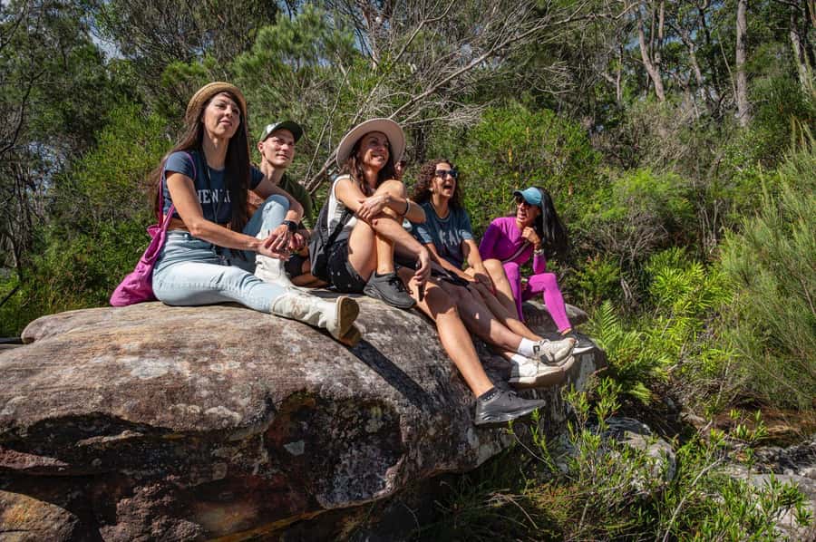 Sydney: Ku-ring-gai National Park with swim and picnic - Aboriginal rock engravings: quiet, meaningful stops