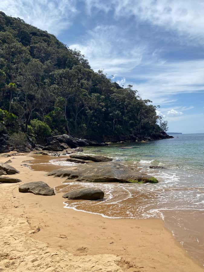 Sydney: Ku-ring-gai National Park with swim and picnic - Where the swimming fits (and how to handle bad weather)