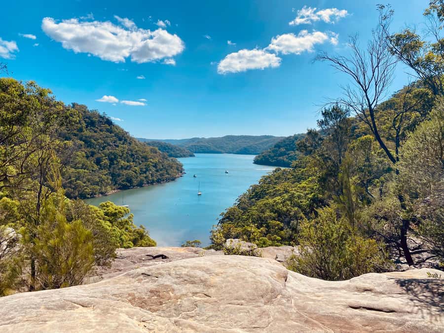 Sydney: Ku-ring-gai National Park with swim and picnic - The car pick-up: the difference between a day trip and a real outing