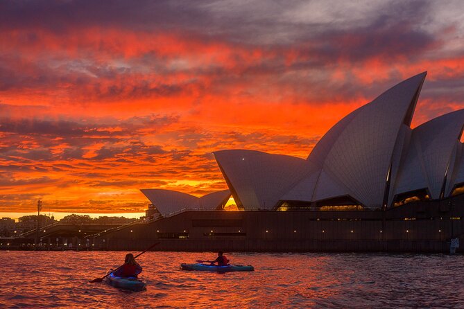 Sydney LED Lit Kayak Tour of the Opera House and Bridge - What the Guides Actually Do (And Why That Matters)
