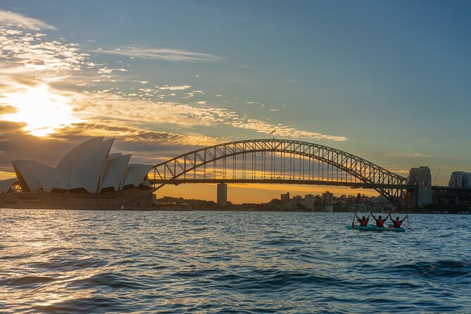 Sydney LED Lit Kayak Tour of the Opera House and Bridge - Price and Value: What $99.70 Really Buys You