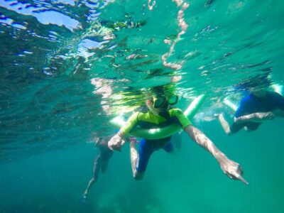 Sydney: Manly and Shelly Beach Snorkeling Tour - Small-group guiding and safety you can feel