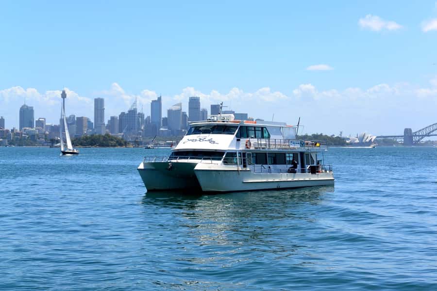 Sydney: Morning Sightseeing Bus to Bondi with Lunch Cruise - Rose Bay and The Gap Viewpoints: Quick Stops That Still Pay Off