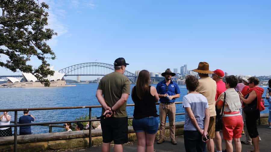 Sydney: Morning Sightseeing Bus to Bondi with Lunch Cruise - Bondi Beach Free Time: The Best Way to Use About 30 Minutes