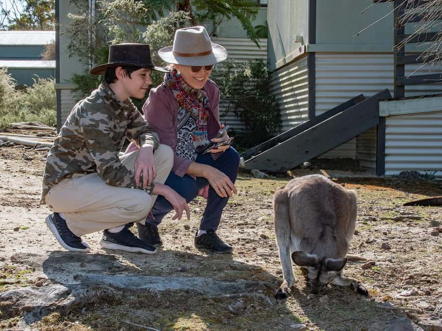 Sydney: Nature and Wildlife - Australia in One Day - Wildlife close-up: koalas, kangaroos, and more than photo ops
