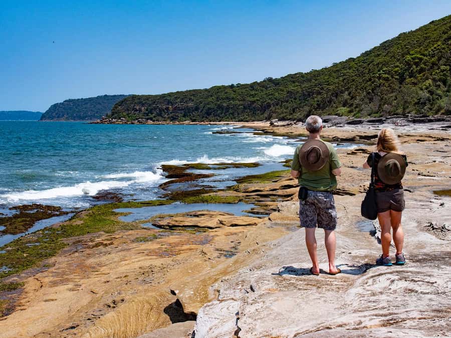 Sydney: Nature and Wildlife - Australia in One Day - From Terrigal to Berowra Valley: wildlife viewing that changes by season