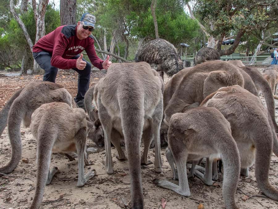 Sydney: Nature and Wildlife - Australia in One Day - Drinks and treats at the end: local wine, beer, and spirits
