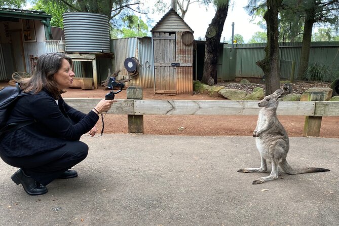 Sydney Opera House and Aussie Animals Private Tour - Quick highlights