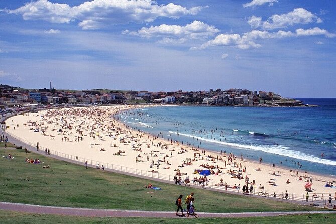 Sydney Port Private Departure Transfer: City Hotel to Cruise Port - Value for the Price: When $32 Feels Like a Bargain