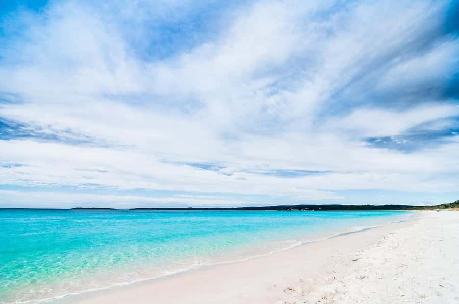 Sydney: Port Stephens Day Trip with Dolphin Cruise or Hike - Sandboarding Runs: How to Make Your Legs Last