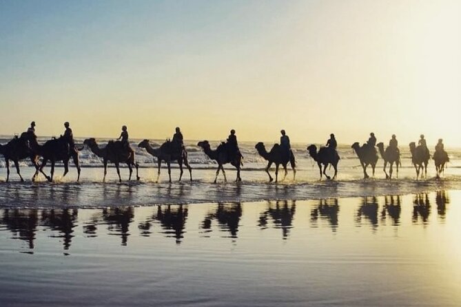 Sydney: Port Stephens Sandboarding, Dunes & Dolphin Cruise option - Mount Tomaree guided hike: summit views in a short time