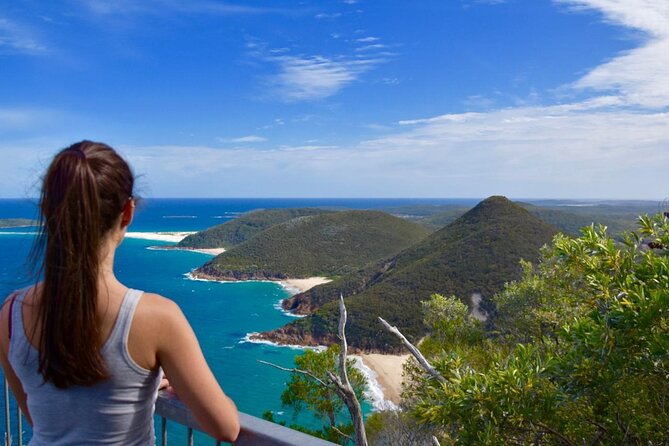 Sydney: Port Stephens Sandboarding, Dunes & Dolphin Cruise option - Sandboarding: the adrenaline, the technique, and the reality check