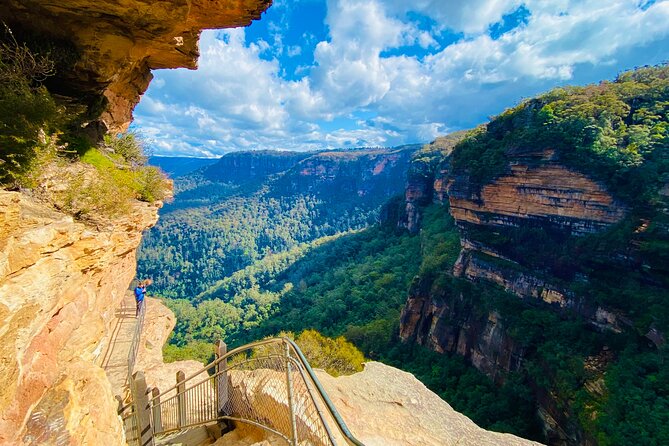 Sydney: PRIVATE Blue Mountains, Wildlife & Cruise Luxe Tour (10h) - Private luxury ride out of Sydney (with Wi-Fi and real pickup)