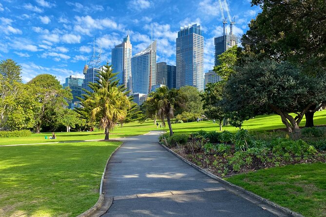 Sydney: PRIVATE City Highlights & Ocean Front Luxe Tour (4h) - Bondi Beach: surf life, fine sand, and a real ocean break