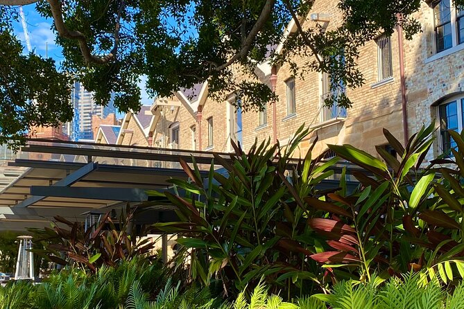Sydney: PRIVATE City Highlights & Ocean Front Luxe Tour (4h) - Darling Harbour and Paddington’s restored terraces