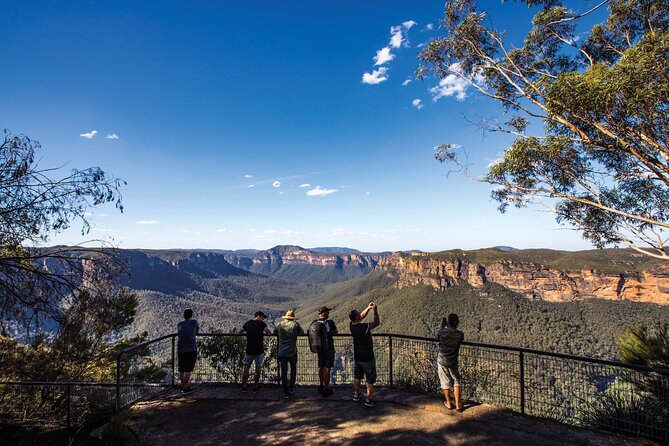 Sydney Private Custom Walking Tour with A Guide (Private Tour) - Side Trips Like Manly and the Botanical Gardens (With Realistic Expectations)