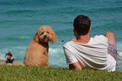 Sydney Private Experience with a Local 3-8hrs: Icons & Gems - Meeting Point, Walking Logic, and How Long It Takes