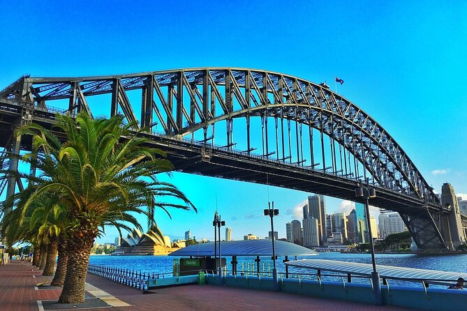 Sydney Private Half-Day Cycling Exploration - Livelo Sydney: start with a bike fit, not a scramble