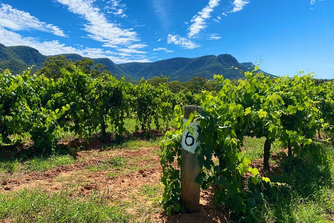 Sydney: PRIVATE Hunter Valley Wine Tasting Luxe Tour (10h) - Key Highlights Worth Noticing
