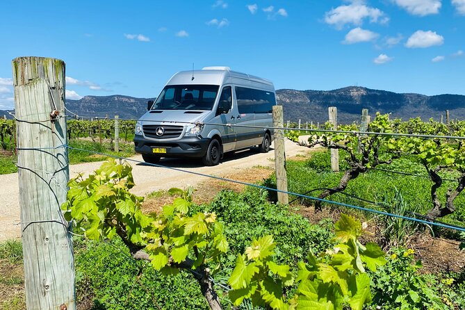 Sydney: PRIVATE Hunter Valley Wine Tasting Luxe Tour (10h) - Price and Value: What $793.27 Is Paying For (and What It Isn’t)
