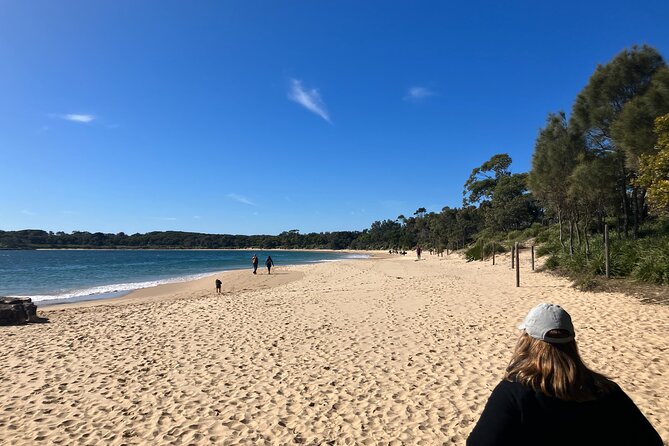 Sydney Private Tour Inc The Royal National Park and Symbio Zoo - Wattamolla Beach and Bundeena: short coastal moments and beach energy