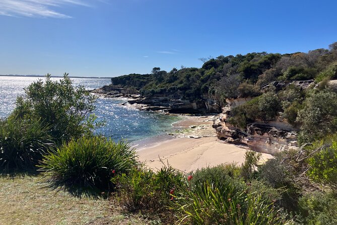 Sydney Private Tour Inc The Royal National Park and Symbio Zoo - Sea Cliff Bridge: classic coastline views you can walk