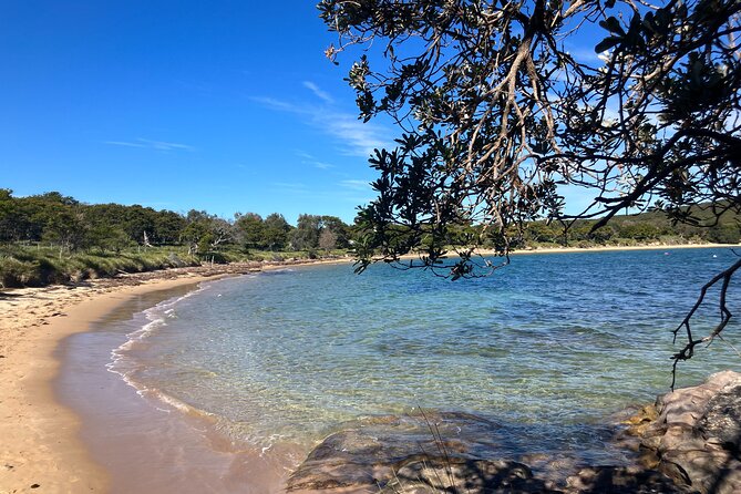 Sydney Private Tour Inc The Royal National Park and Symbio Zoo - Price and value: what you’re paying for at $310.57 per person