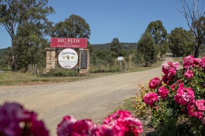 Sydney: Private Wine tour - Hunter Valley & Wollombi Valley - The scenic prelude on Tourist Drive 33 (the “slowing down” part)