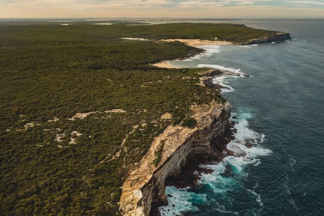 Sydney: Royal National Park Day Trip with Picnic and Swim - Key highlights at a glance