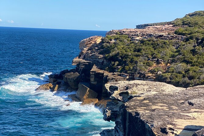 Sydney: Royal National Park Day Trip with Picnic and Swim - Symbio Wildlife Park (Optional): Koala and Kangaroo Time Without the Full-Day Tradeoff