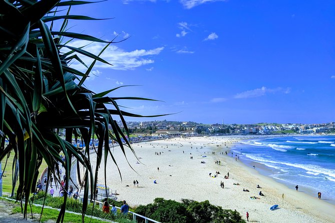 Sydney Secrets and Bondi Beach 4 HOUR AFTERNOON PRIVATE TOUR - Bondi Beach and Brontë: the part you’ll feel in your feet