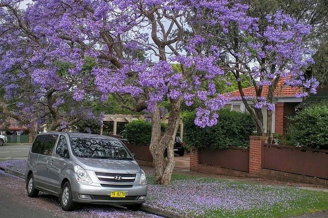Sydney Secrets and Bondi Beach 4 HOUR MORNING PRIVATE TOUR - Centennial Park, Paddington Markets, Chinatown, and Darling Harbour