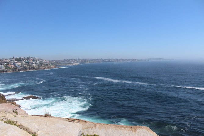 Sydney Shore Excursion: Half-Day Sydney City Highlights with Bondi Beach and Watsons Bay - Getting a handle on Sydney in just 4 hours