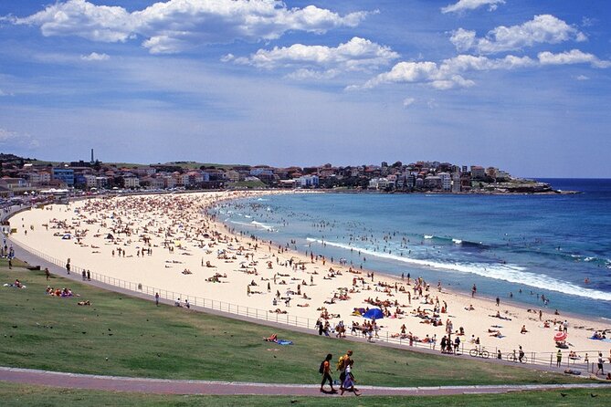 Sydney Shore Excursion: Half-Day Sydney City Highlights with Bondi Beach and Watsons Bay - Port pickup and minivan comfort: why this works for cruise days