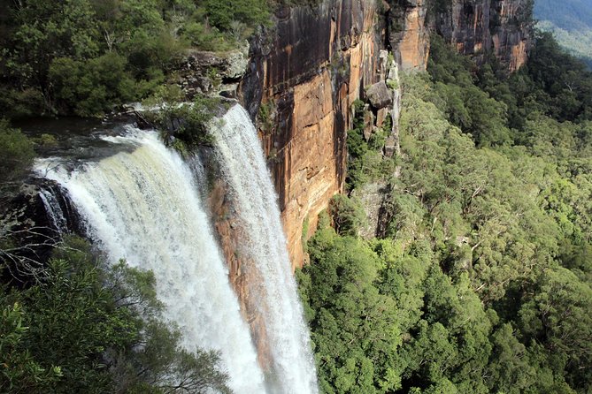 Sydney South Coast to Country Private Tour | Grand Pacific Drive - Fitzroy Falls: the national park rainforest walk that closes strong