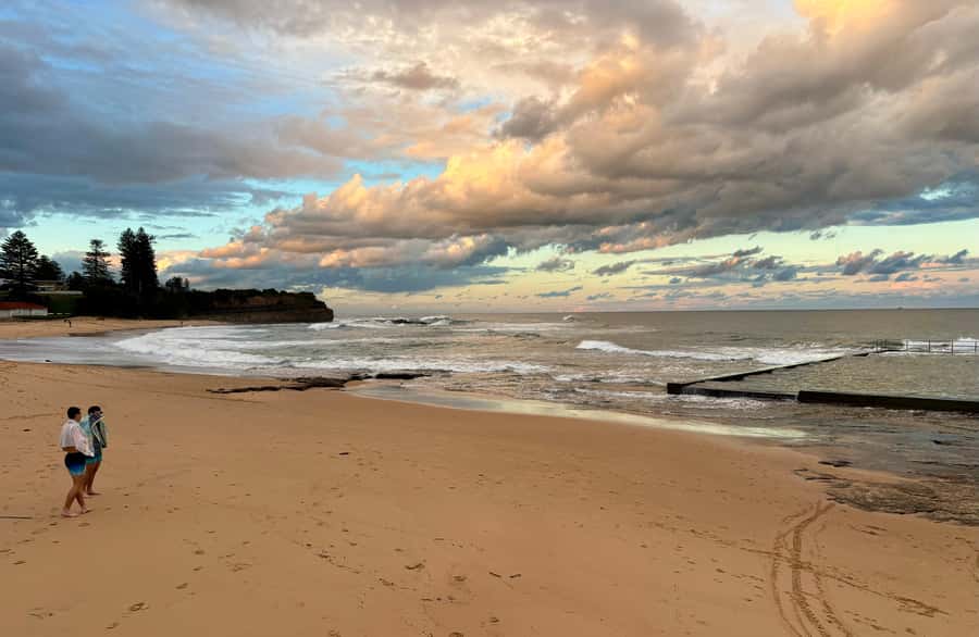 Sydney: Southern Highlands and South Coast Private Tour - Illawarra Flyway and the zipline chance over the trees
