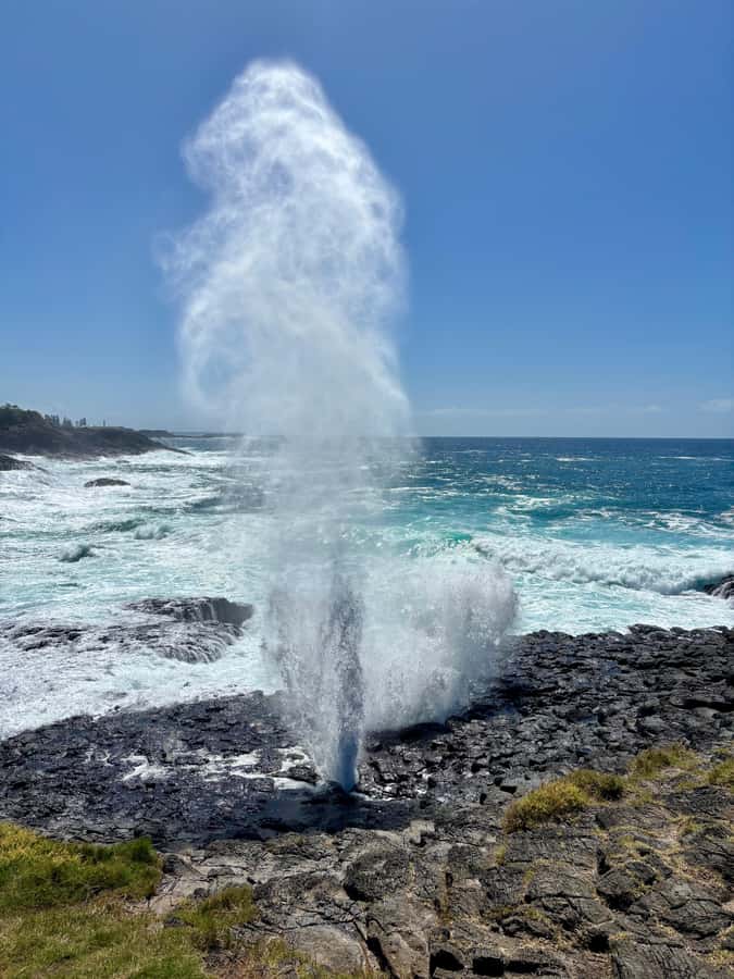 Sydney: Southern Highlands and South Coast Private Tour - Fitzroy Falls: the 80-meter punch in a forest valley