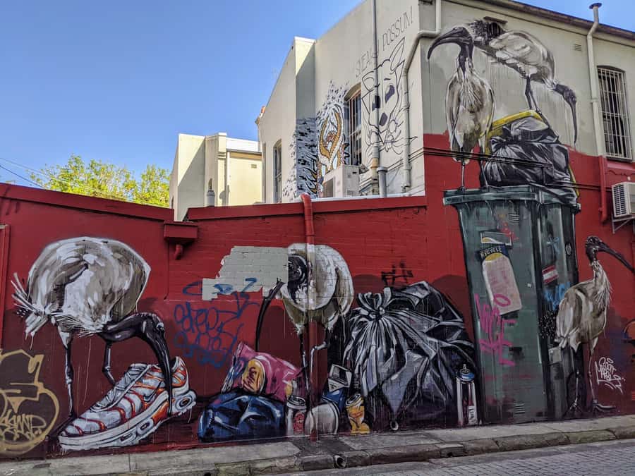Sydney: Street Art & Small Bar Tour with Complimentary Drink - Key highlights I’d plan my trip around