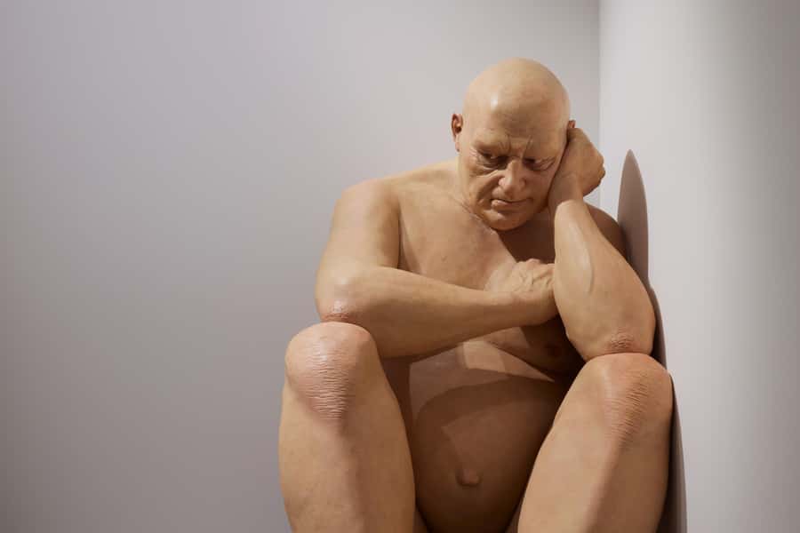 Sydney Summer Art Exhibitions Art Gallery of New South Wales - The Sydney Art Pass: When $24 Becomes a Two-Stop Value Play