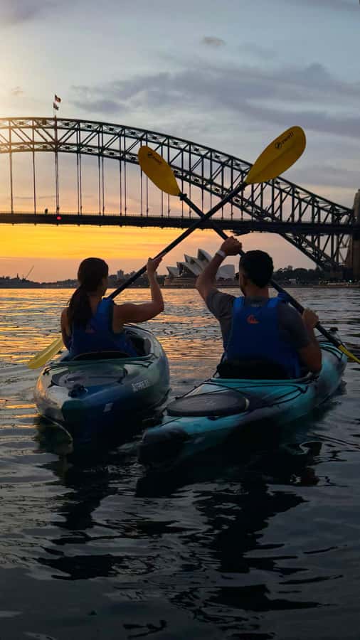 Sydney Sunrise Kayak Tour on Sydney Harbour - Key Things That Make This Sydney Sunrise Kayak Tour Worth It