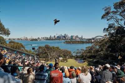 Sydney Taronga Zoo's Aussie Backyard Adventure Tour - The Aussie Backyard Adventure structure: what the guide does for 90 minutes