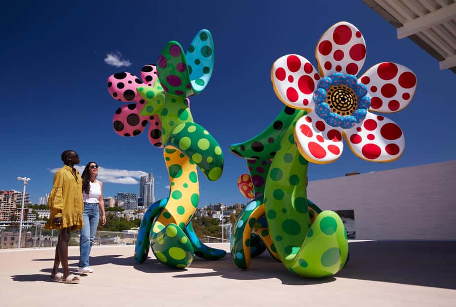 Sydney: Tickets & Tours at Art Gallery of New South Wales - Key highlights to watch for